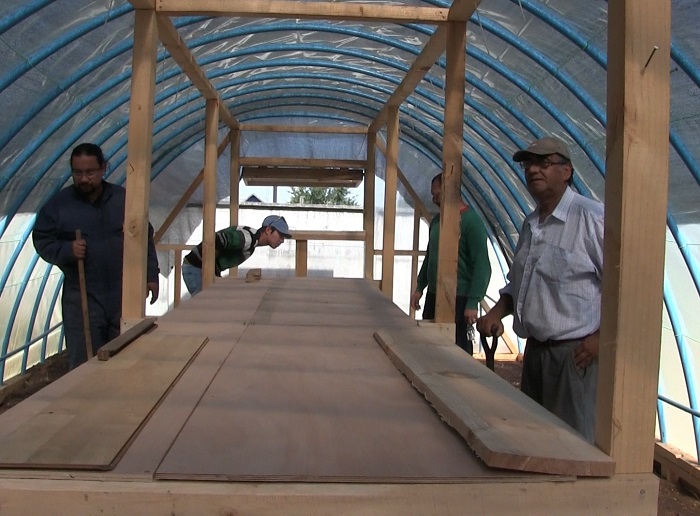 ALUMNOS DE LA ESCUELA ALERCE HISTÓRICO APRENDERÁN A CULTIVAR HORTALIZAS Y HIERBAS MEDICINALES