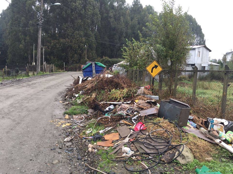 17883569_10155217123014246_25335659750730464_n