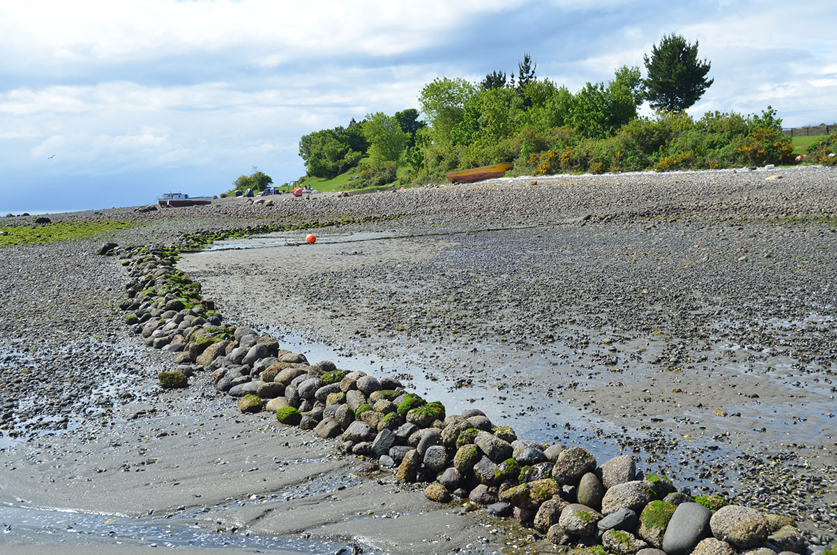 Arqueología para el 2019 en la UACh Sede Puerto Montt