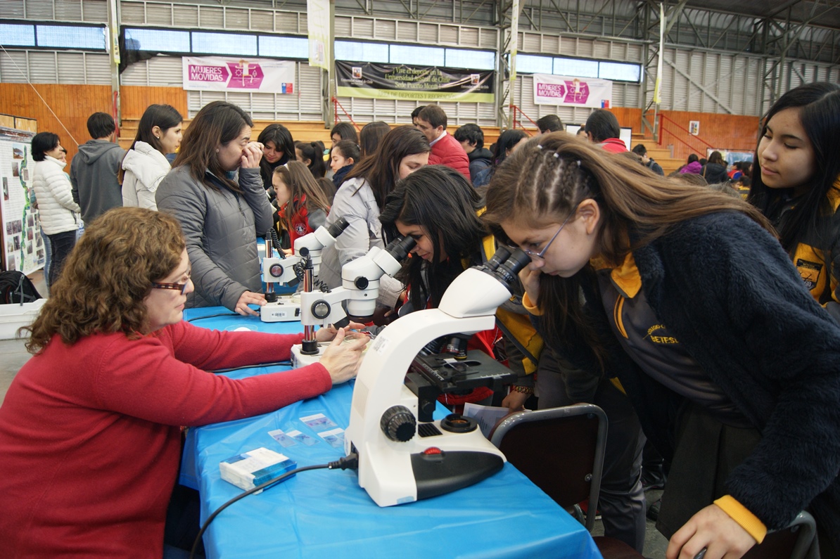 PAR Explora Los Lagos abre postulaciones para Clubes de Apoyo a la Investigación Escolar