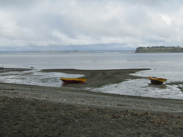 TALLERES DEL PROYECTO NODOS DE MEJORAMIENTO.