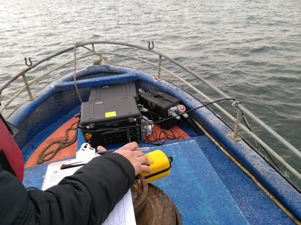 EN CALBUCO: SUBPESCA PRUEBA DISPOSITIVO SONORO PARA AHUYENTAR A LOBOS MARINOS EN LOS LAGOS