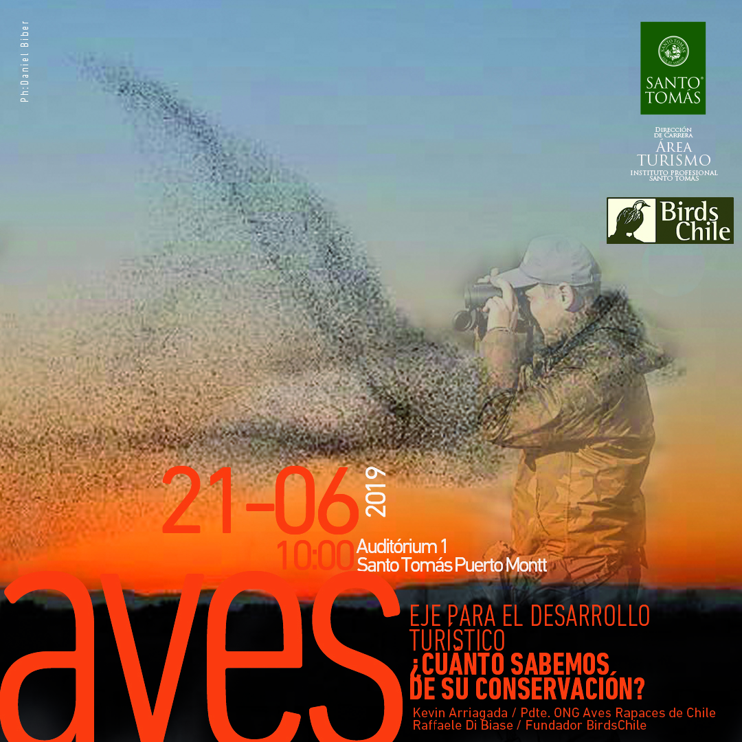 Aves, eje para el desarrollo turístico