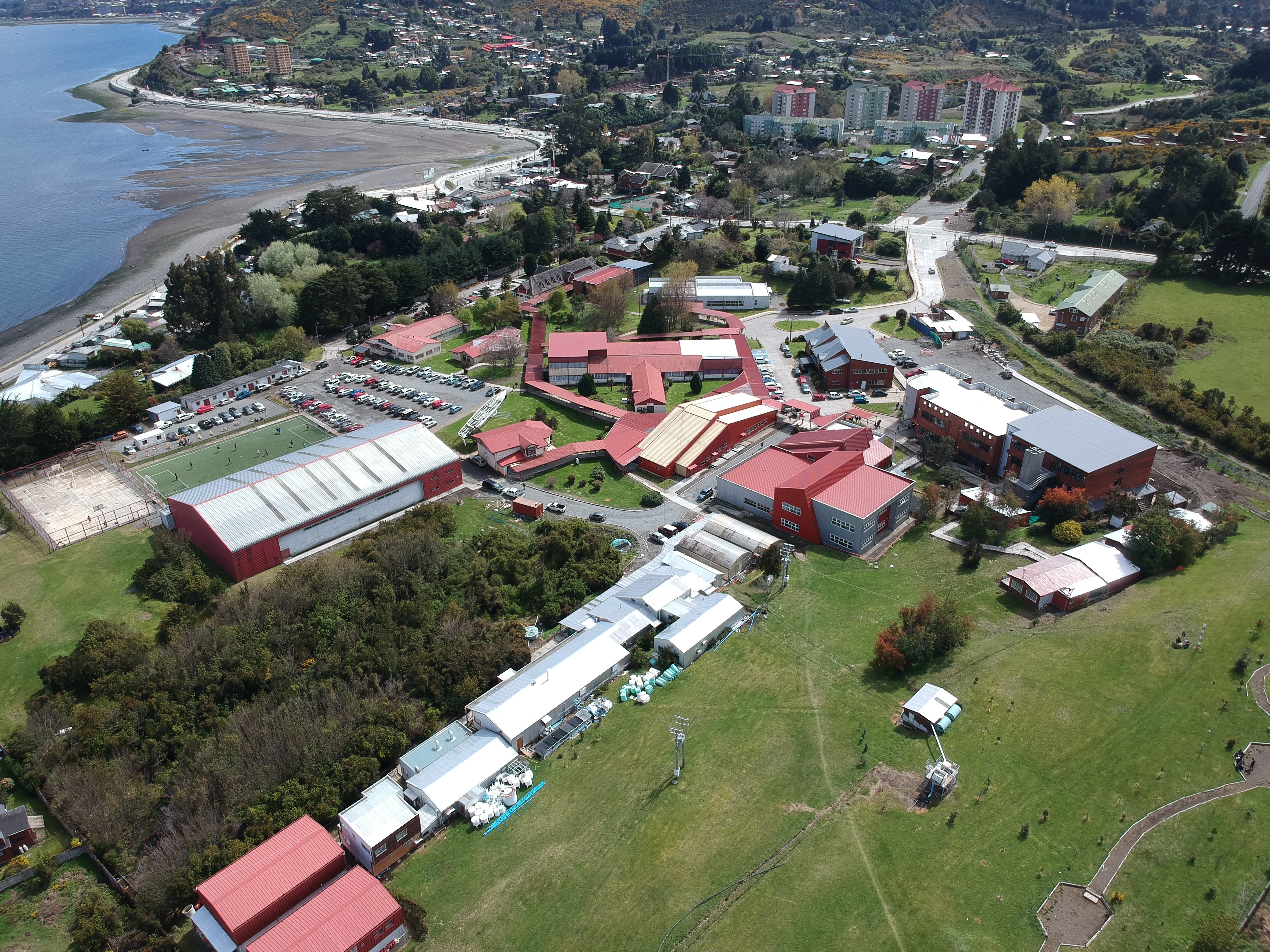 UACh Sede Puerto Montt contará con dos nuevas carreras para Admisión 2020