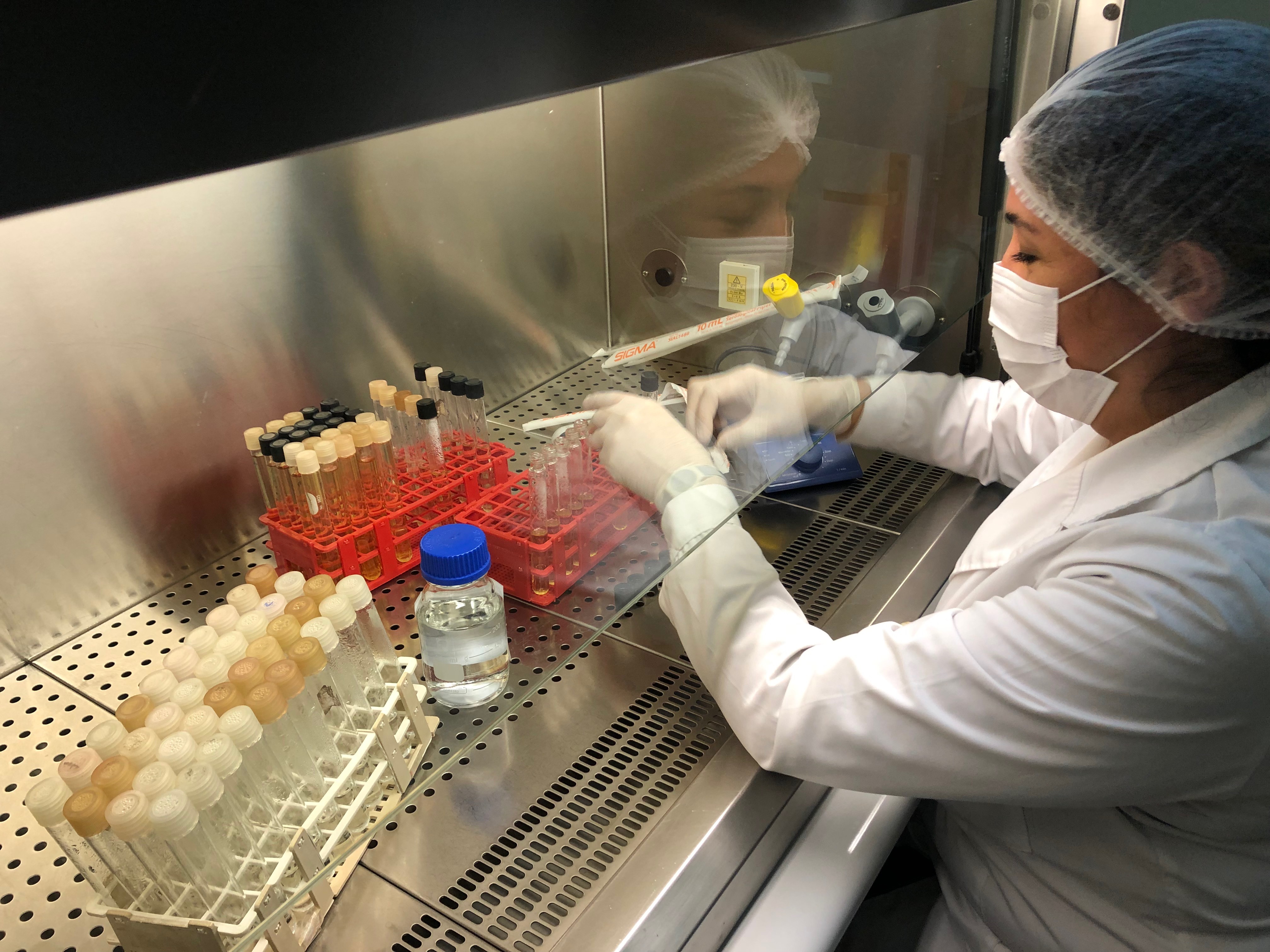 ULagos entregará resultados de muestras de agua este jueves