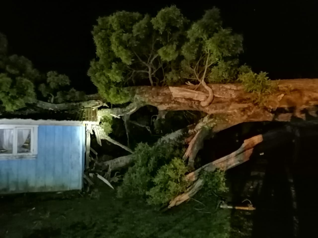 Milagrosa escapada tuvo vecino en el sector de Rulo