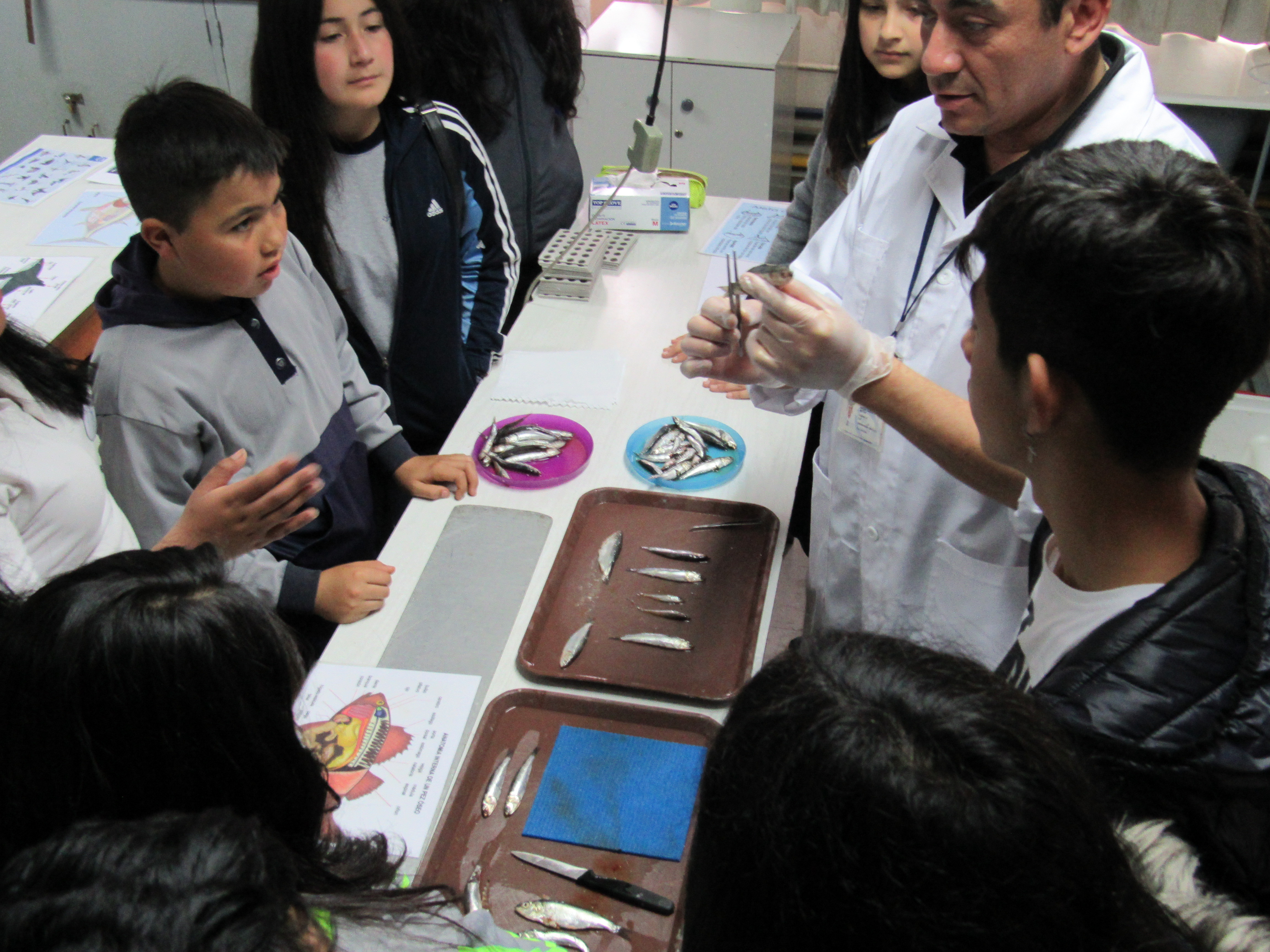 IFOP Talcahuano, participa en V Jornada Científica “Educando para un Desarrollo Sostenible”.