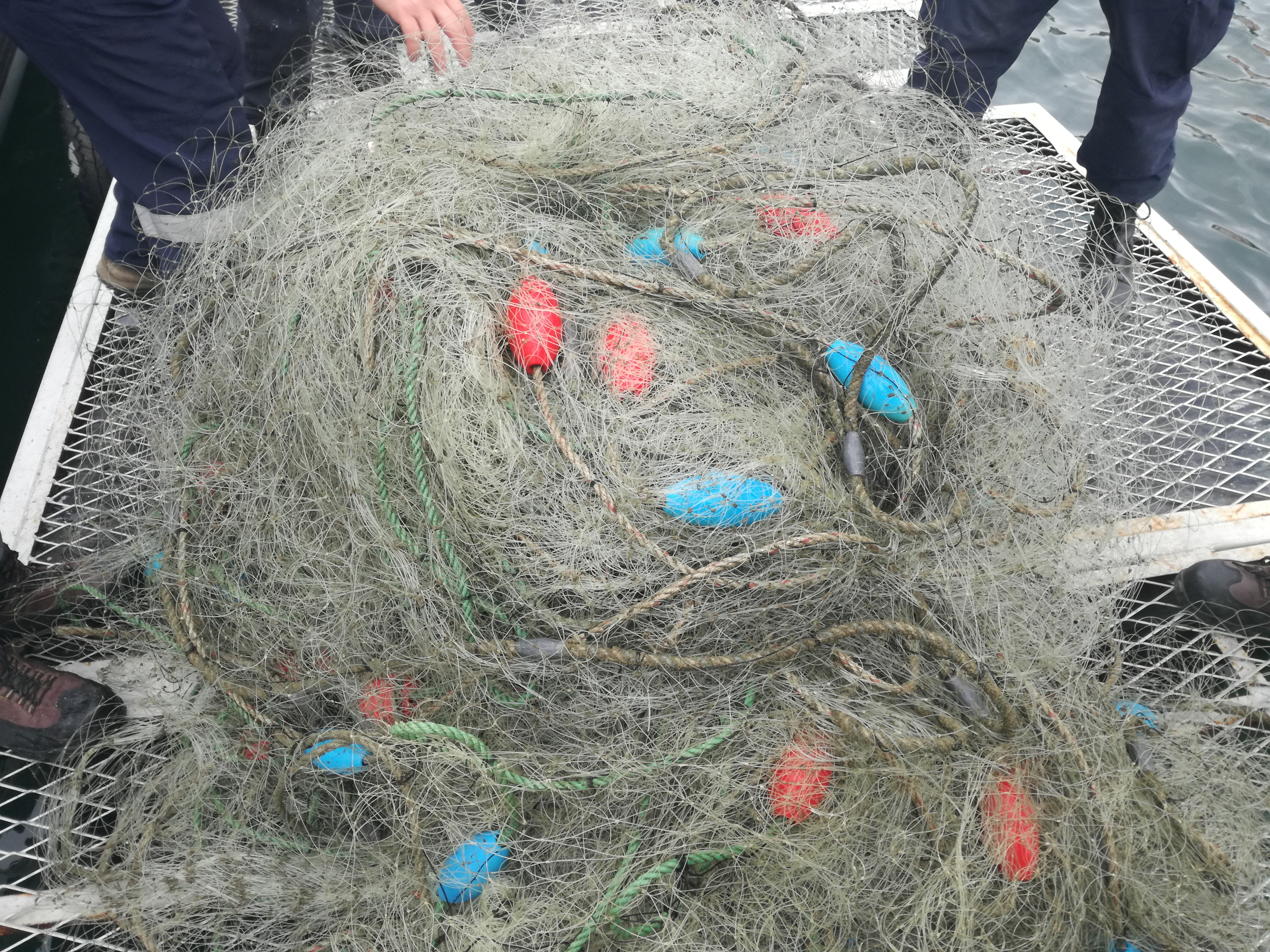 “COMBATE A LA PESCA ILEGAL”