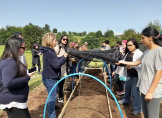 UACh Puerto Montt cuenta con su primer micro túnel de hierbas medicinales