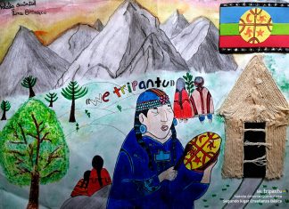 Región de Los Lagos destacó con 16 ganadores