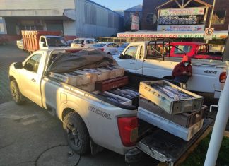 Incautan más de 5 toneladas de recursos del mar