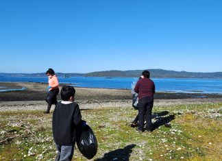 Invermar se hizo parte del Día de Limpieza de Playas junto a estudiantes de Queilén