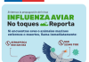 Sernapesca informa caso positivo de influenza Aviar