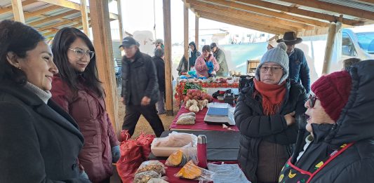 Llaman a postular a fondo que fortalece las Ferias Libres