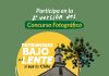Invitan a participar en concurso fotográfico sobre el patrimonio del sur de Chile
