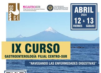 En Puerto Montt: Sociedad Chilena de Gastroenterología y Universidad San Sebastián realizarán curso sobre enfermedades digestivas