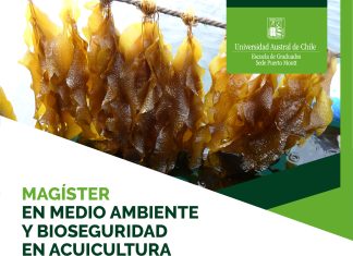 Magíster en Medio Ambiente y Bioseguridad en Acuicultura UACh realiza último llamado a postulaciones 2024