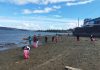 Limpieza de Playas en Castro concluye con la recuperación de media tonelada de basura en sector Lillo