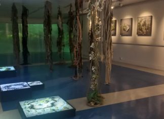 Académica ULagos presenta exposición El Respiro del Paisaje