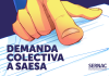 Sernac demanda Colectivamente a Saesa