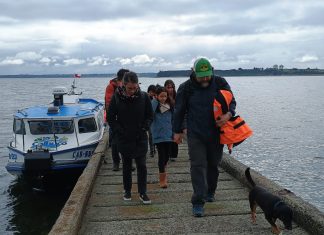 Proyecto ULagos busca a través del juego conocer la movilidad