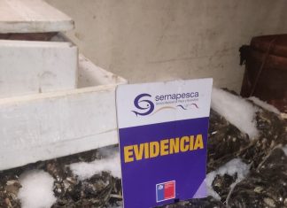 Sorprenden transporte de casi 4 toneladas de recursos de origen ilegal y en veda