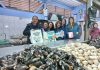 5 mil toneladas de pescados y mariscos fueron controlados por Sernapesca