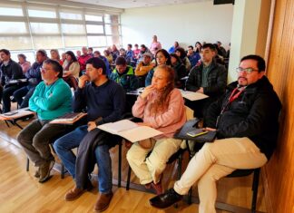 Proyecto Santo Tomás busca solución tecnológica a necesidades del sector apícola