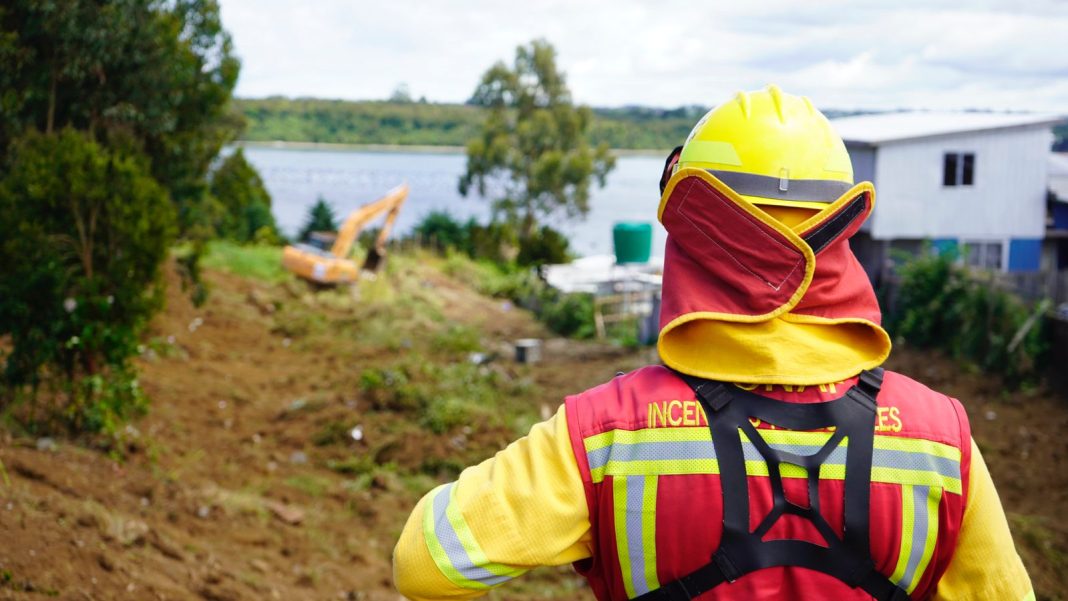 WhatsApp Image 2025-12-17 at 16.01.16