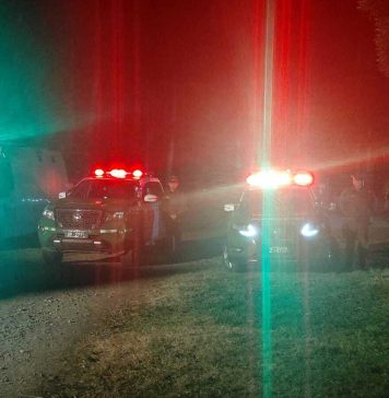 Conductor de taxi colectivo detenido por licencia indebida