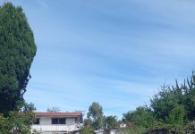 Junta de Vecinos N° 24 Caicaén agradece apoyo solidario a Mowi