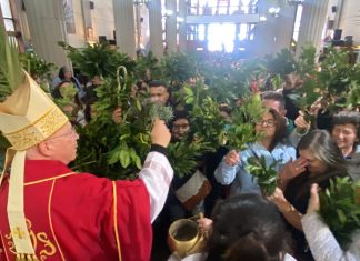 Con Domingo de Ramos se inició Semana Santa en Puerto Montt