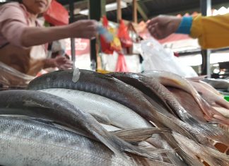 Reforzar cuidados en consumo de pescados y mariscos