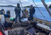 Armada y Sernapesca incauta más de 2 kilos de recurso del mar