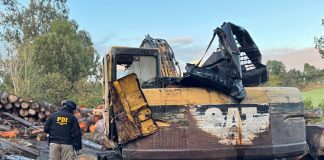 PDI desarticula organización delictual por sustracción de madera