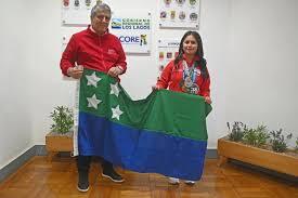 Gobierno Regional de Los Lagos destaca a joven promesa del karate nacional