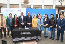 Gobierno Regional impulsa patrullaje mixto en Puerto Montt