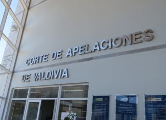 Corte de Valdivia ordena a Carabineros abrir sumarios por denuncias de voluntarios