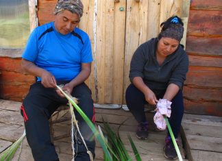 Proyecto Explora-Conicyt será lanzado en marzo y distribuido gratuitamente en todo el país