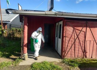 Confirman primeros casos positivos de Covid-19 en Puyehue