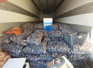 En control carretero detectan más de 3 toneladas de recursos ilegales