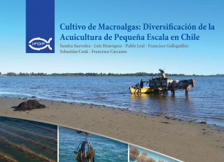 IFOP publica novedoso manual sobre cultivos de macroalgas