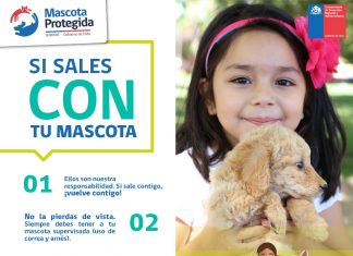Subdere lanza campaña sobre el cuidado de mascotas en vacaciones